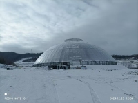 球形/巣/庭/レジャー/温室