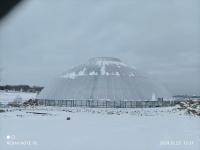 球形/巣/庭/レジャー/温室