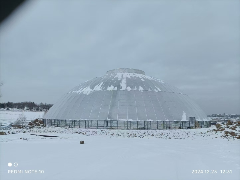 球形/巣/庭/レジャー/温室