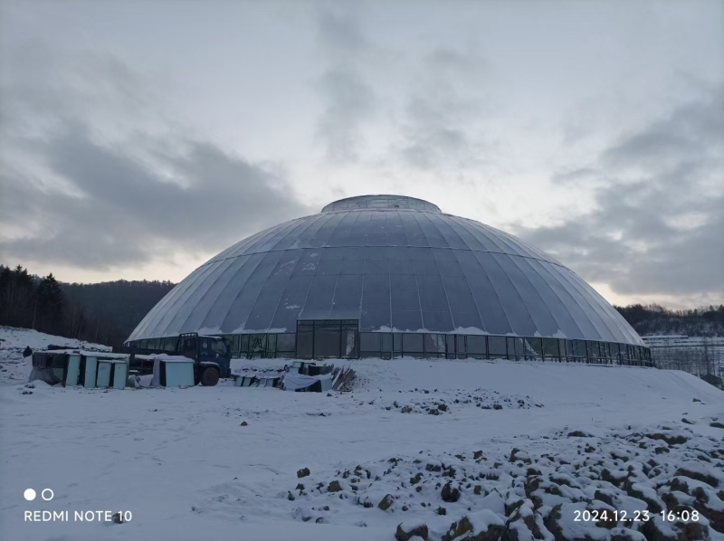 球形/巣/庭/レジャー/温室