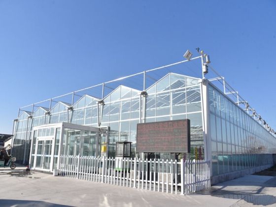 Solar Pannel Vegetables Greenhouse
