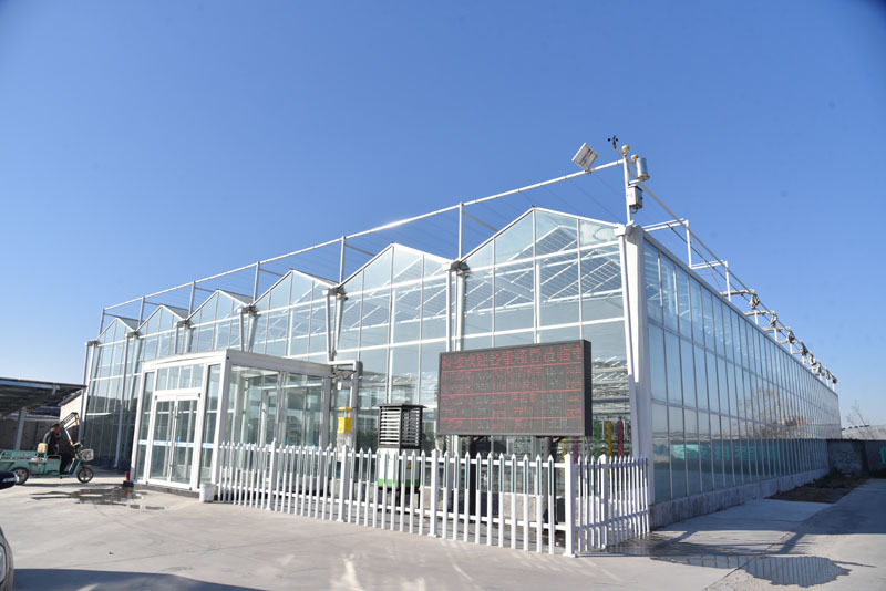 Solar Pannel Vegetables Greenhouse