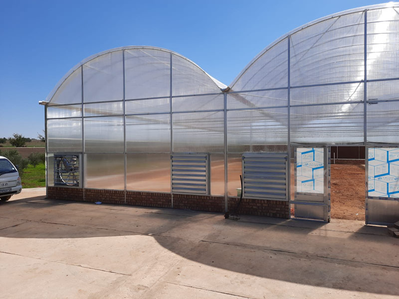 Serre tunnel en film polyéthylène transparent