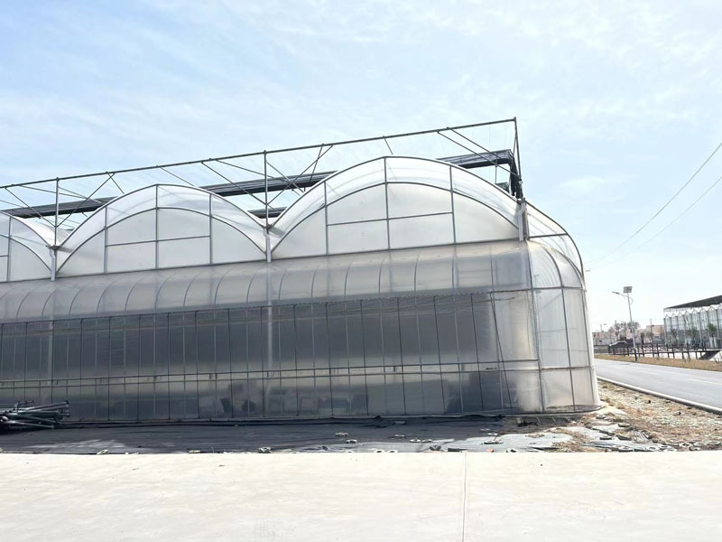 Galvaniz Çerçeve Plastik Tarım Serası