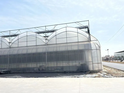 فيلم الدفيئة