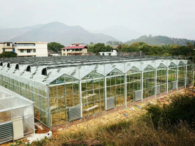 دفيئة من البولي كربونات