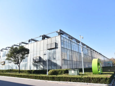 دفيئة زجاجية