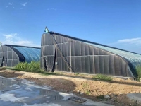 دفيئة نفق شتوية معزولة جيدًا