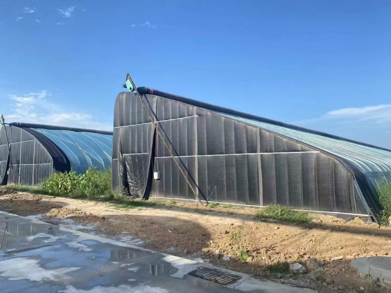 دفيئة نفق شتوية معزولة جيدًا