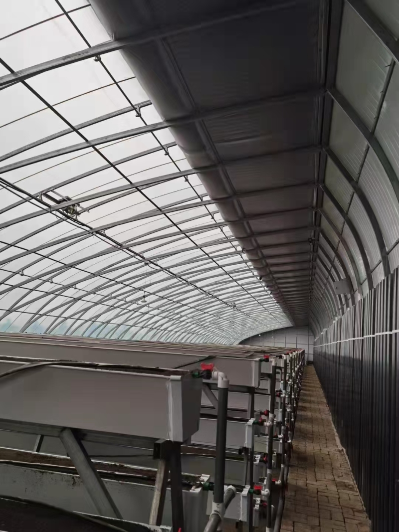 دفيئة نفق شتوية معزولة جيدًا