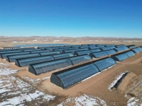 دفيئة نفق شتوية معزولة جيدًا