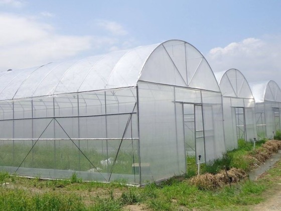 هيكل دفيئة سهل التركيب