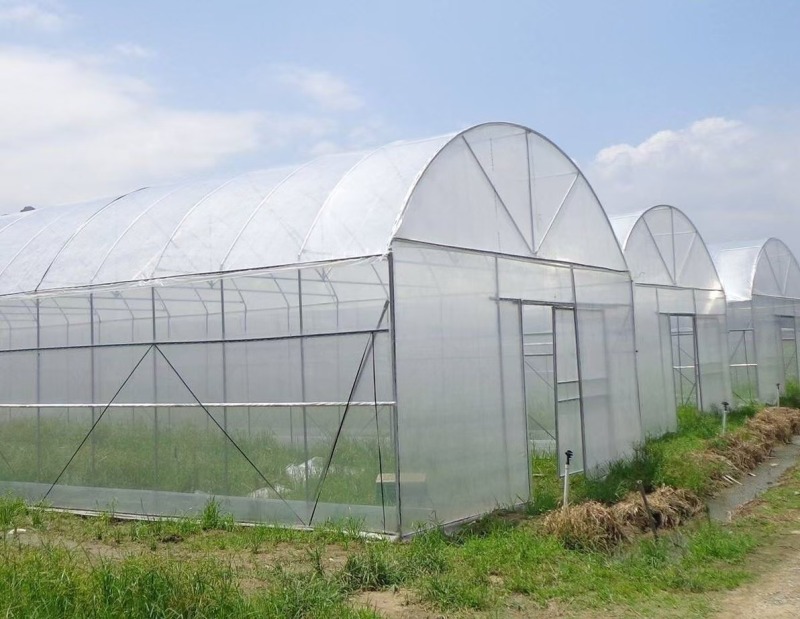 هيكل دفيئة سهل التركيب