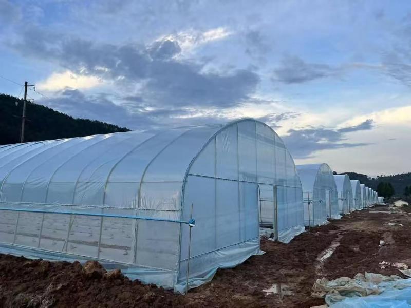 دفيئة نفقية بلاستيكية بسمك 100/150/200 ميكرون