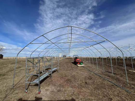 Single Span Film Tunnel Greenhouse For Vegetables