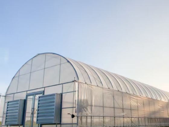 Serre à film tunnel pour équipement agricole