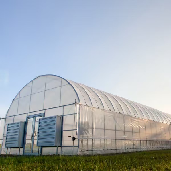 Serre à film tunnel pour équipement agricole