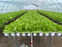 Serre à film tunnel pour équipement agricole