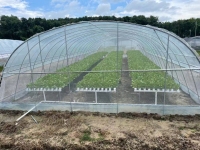 Serre à film tunnel pour équipement agricole