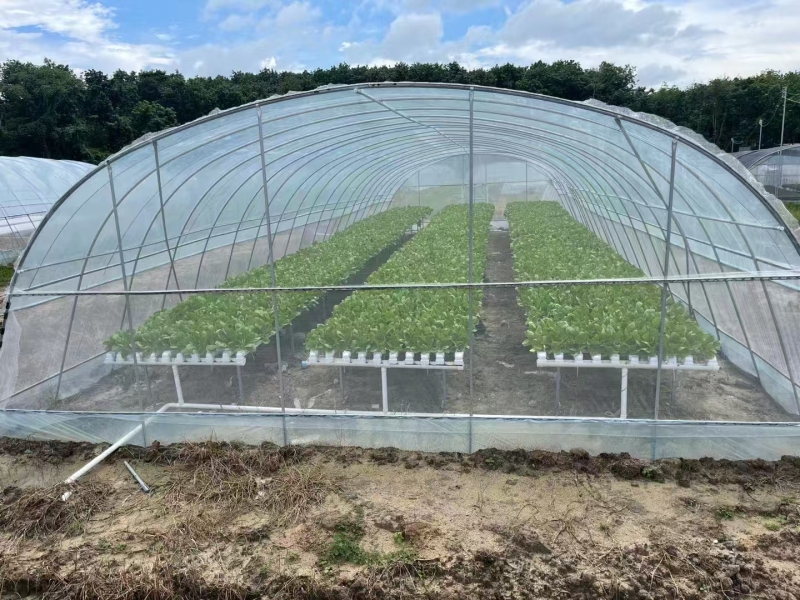 Serre à film tunnel pour équipement agricole