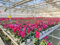 Flower Greenhouse With Environmental Control