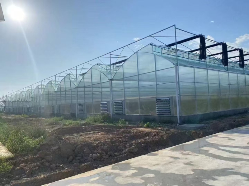 Tunnel à travées multiples recouvert de plastique