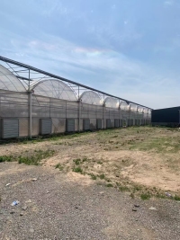 Tunnel à travées multiples recouvert de plastique