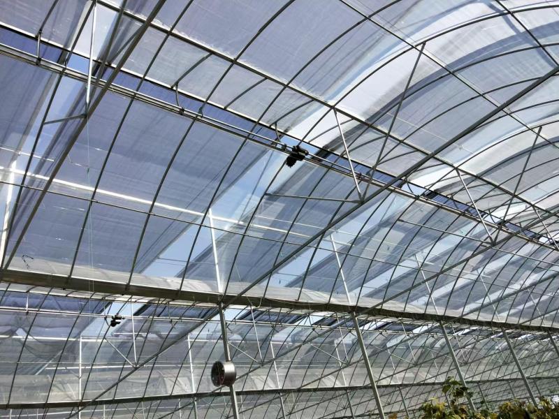 Tunnel à travées multiples recouvert de plastique