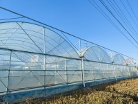 Serre fruitière avec contrôle environnemental