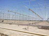 Serre fruitière avec contrôle environnemental