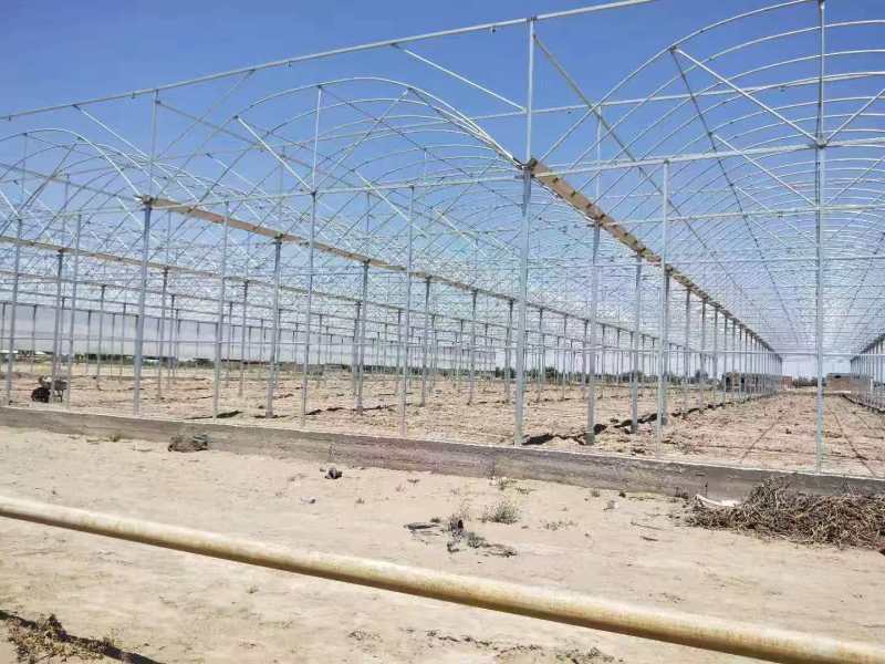 Serre fruitière avec contrôle environnemental