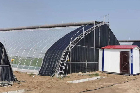 Frost-Proof Winter Greenhouse