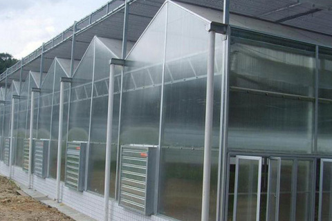 Polycarbonate Greenhouses for Vegetable Cultivation