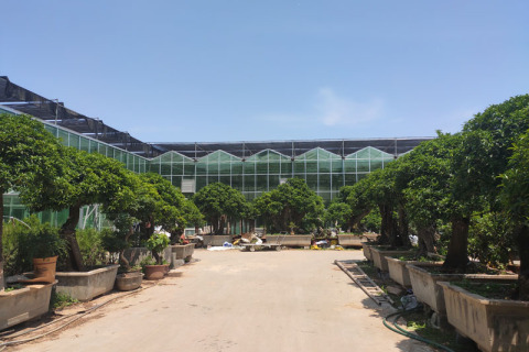 بناء دفيئة زجاجية مبتكرة للزراعة الحديثة