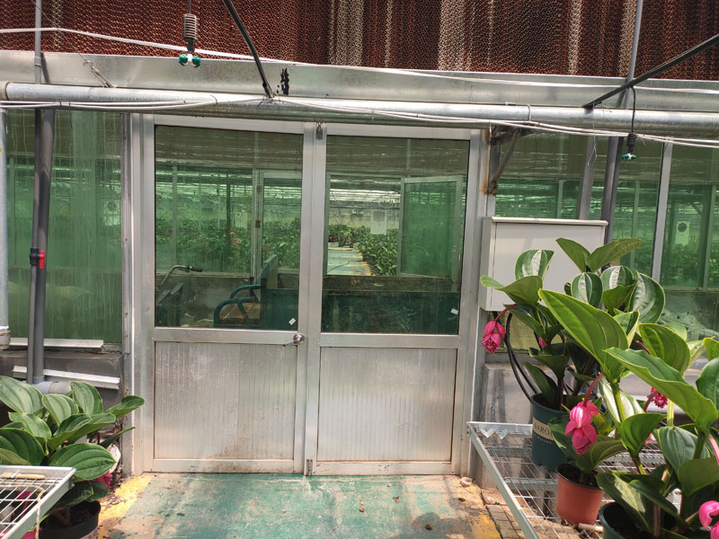 Glass Greenhouse
