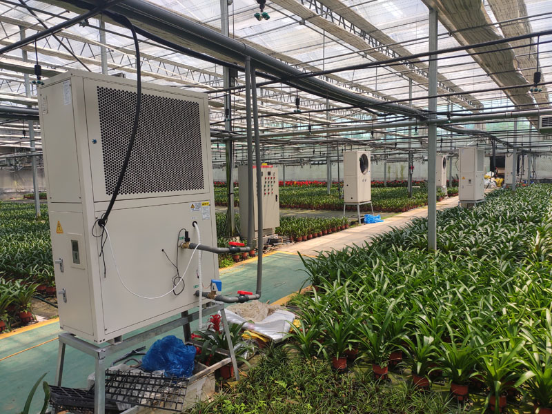 Greenhouse Build