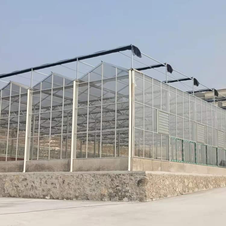 Glass Greenhouse