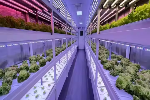 مصنع حاويات زراعة صديقة للبيئة وقابلة لإعادة الاستخدام لزراعة الخضروات العضوية