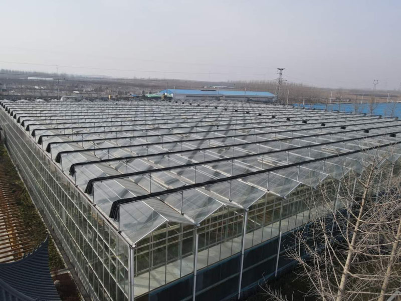 Glass Greenhouse