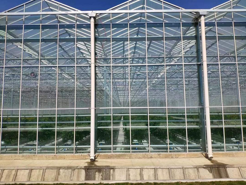 Intelligent Greenhouse