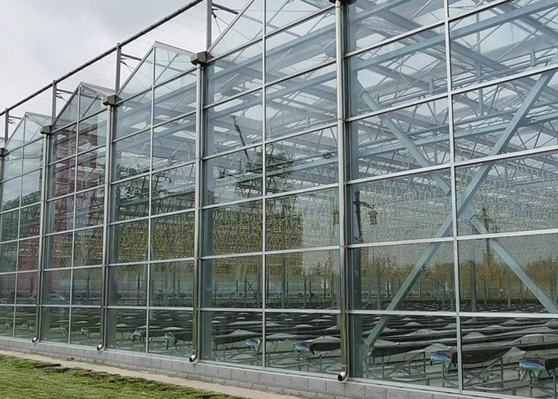 Glass Greenhouse
