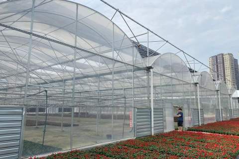 دفيئة أفلام متعددة الاستخدامات بأسعار معقولة - أداء عالي لزراعة الخضراوات والزهور التجارية