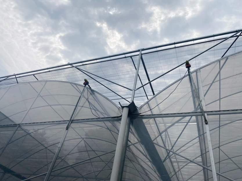 Multi Span Film Greenhouse Multi Span Film Greenhouse