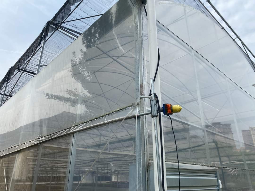 Commercial Vegetable Greenhouse Commercial Vegetable Greenhouse