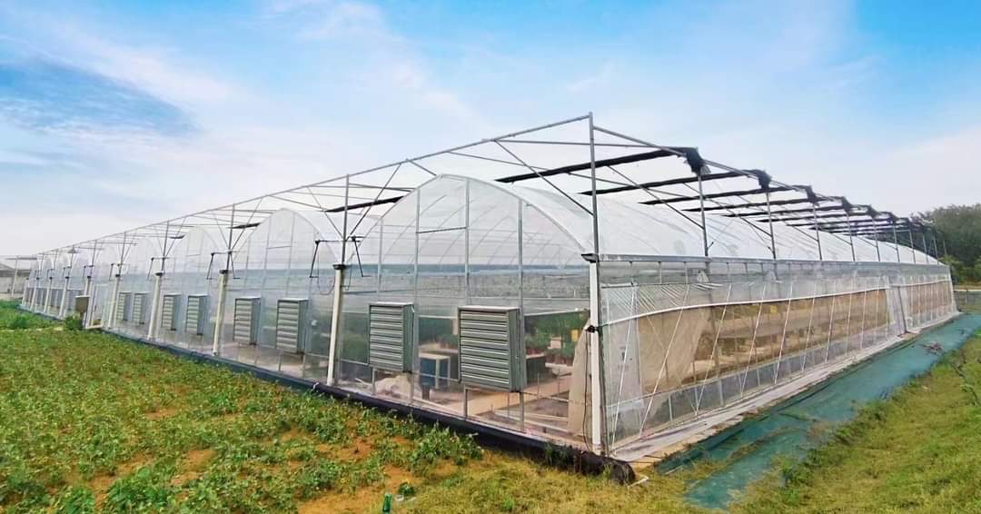 Commercial Film Greenhouse Commercial Film Greenhouse