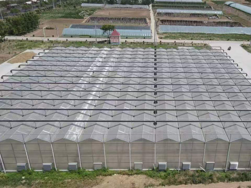 Strawberry PC Greenhouse Strawberry PC Greenhouse