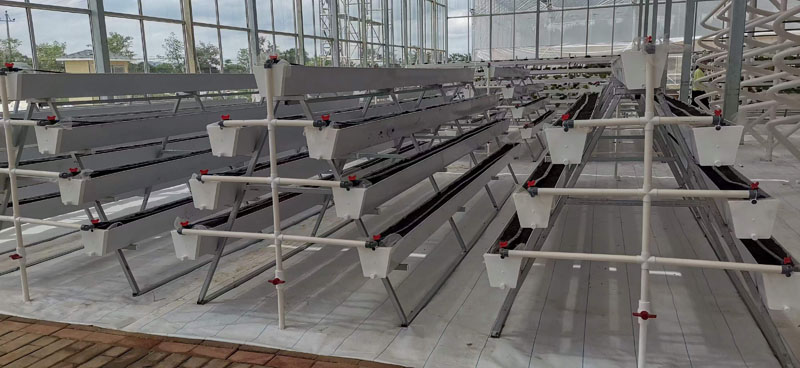 Strawberry PC Greenhouse Strawberry PC Greenhouse