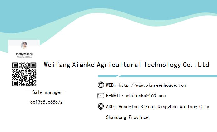 venlo PC greenhouse venlo PC greenhouse