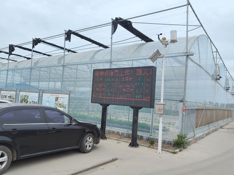Multi-span plastic film greenhouse