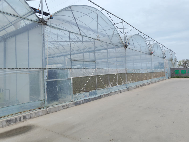 Multi-span greenhouse